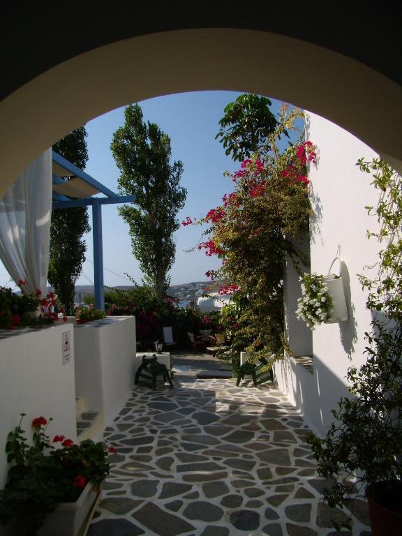 Panorama Paros Ξενοδοχείο Δωμάτιο φωτογραφία